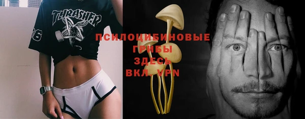 соль ск Верхний Тагил