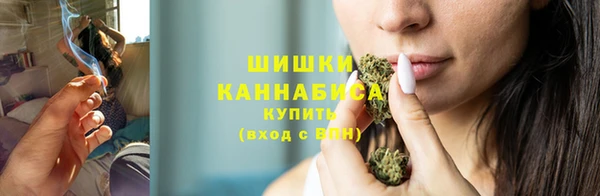 соль ск Верхний Тагил